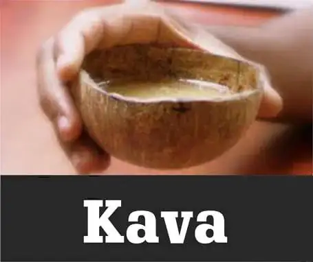 Traditional kava shell